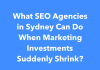 What SEO Agencies in Sydney Can Do When Marketing Investments Suddenly Shrink? What SEO Agencies in Sydney Can Do When Marketing Investments Suddenly Shrink?