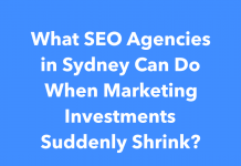 What SEO Agencies in Sydney Can Do When Marketing Investments Suddenly Shrink? What SEO Agencies in Sydney Can Do When Marketing Investments Suddenly Shrink?