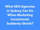 What SEO Agencies in Sydney Can Do When Marketing Investments Suddenly Shrink? What SEO Agencies in Sydney Can Do When Marketing Investments Suddenly Shrink?
