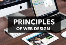Web Design Principles That Are Essential For Successful Websites in 2025 Principles of web design