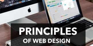 Web Design Principles That Are Essential For Successful Websites in 2025 Principles of web design