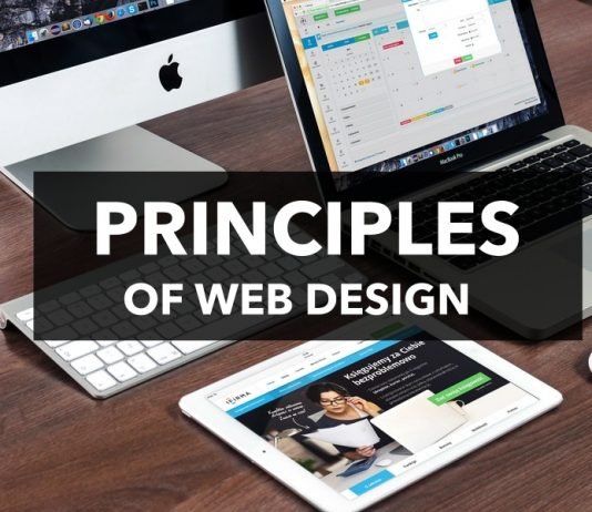Web Design Principles That Are Essential For Successful Websites in 2025 Principles of web design