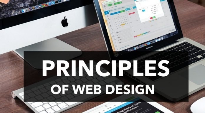 Web Design Principles That Are Essential For Successful Websites in 2025 Principles of web design