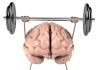 9 Ways to Instantly Strengthen Your Brain