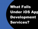 What Falls Under iOS App Development Services? What Falls Under iOS App Development Services