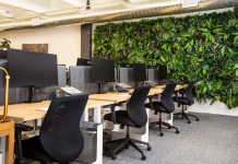The 5 Essential Economic Benefits of Shared Office Spaces