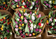 Qualities to Consider When Purchasing Flowers Flowers Shopping