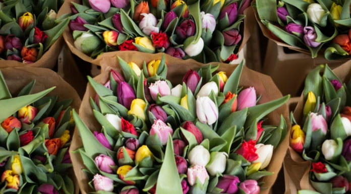 Qualities to Consider When Purchasing Flowers Flowers Shopping