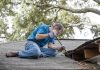 How Often Do Homeowners Replace Their Roofs Home Roof Repairing