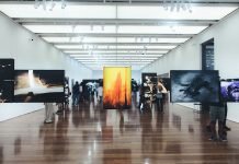 How Do You Choose the Perfect Art Gallery to Visit in Sydney? Art Gallery