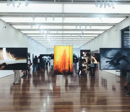 How Do You Choose the Perfect Art Gallery to Visit in Sydney? Art Gallery