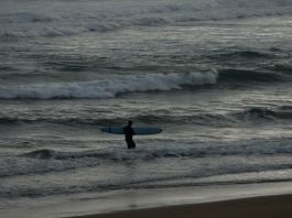 Choosing the Perfect Surf Board Cover: Factors to Consider Surfboard Bags