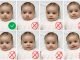 How to Make a Perfect Baby Passport Photo from Home