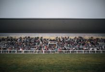 How Creative Marketing Can Attract New Horse Racing Fans How Creative Marketing