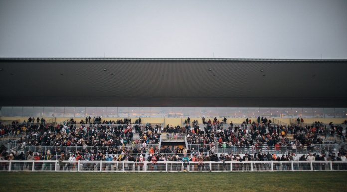 How Creative Marketing Can Attract New Horse Racing Fans How Creative Marketing